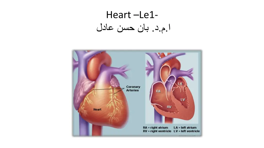 heart le1