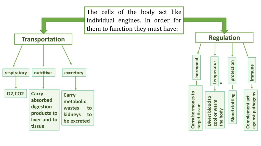 the cells of the body act like individual engines