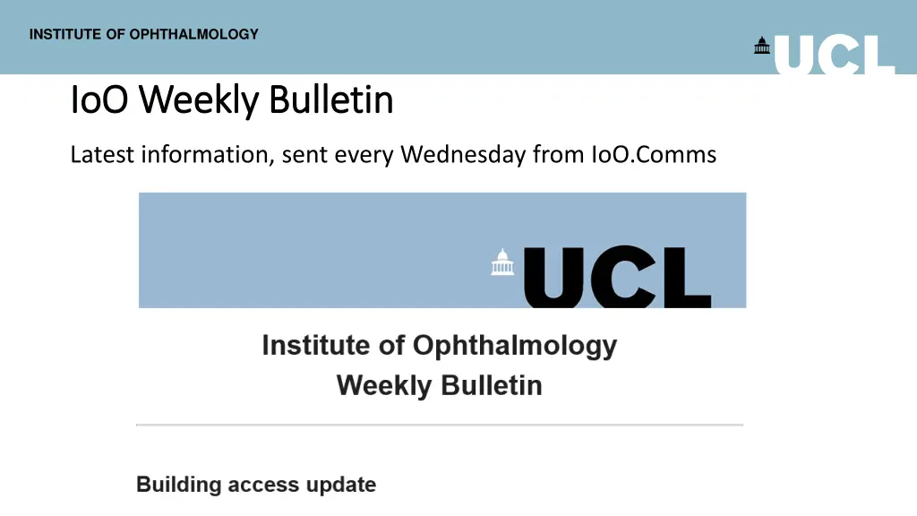 institute of ophthalmology 8