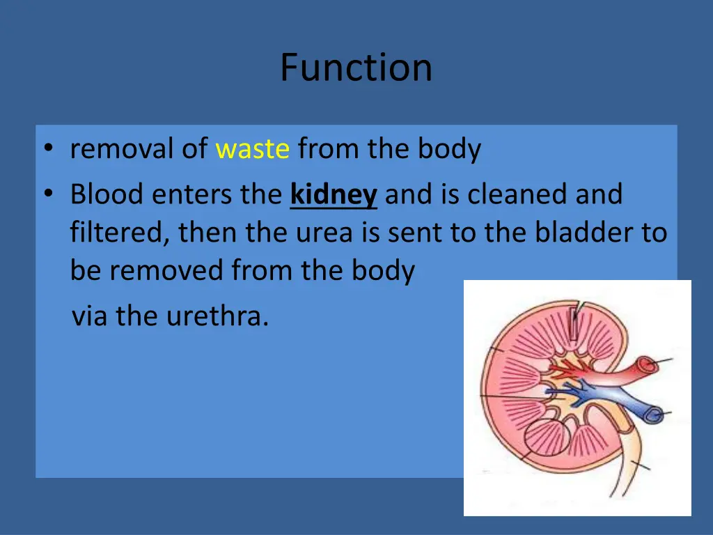 function 1