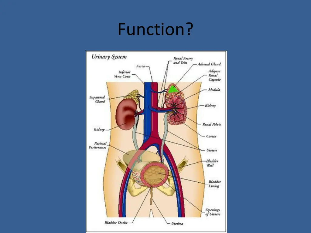 function