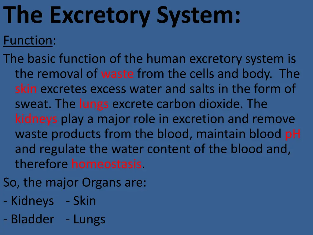 the excretory system function the basic function