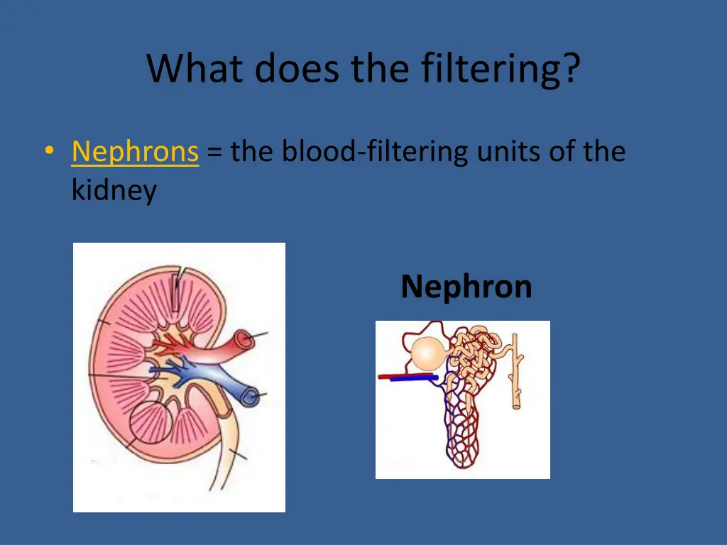 what does the filtering