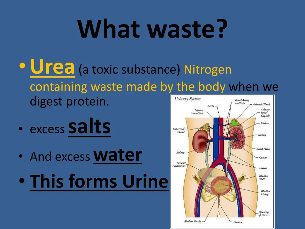 what waste urea a toxic substance nitrogen