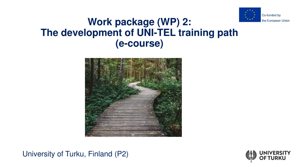 work package wp 2 the development