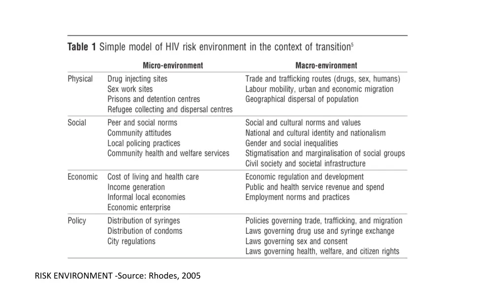 risk environment source rhodes 2005