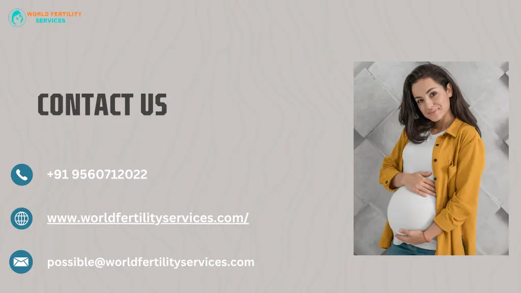 contact us