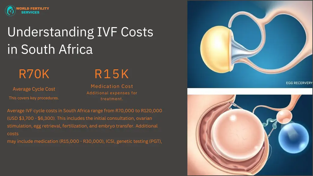understanding ivf costs in south africa