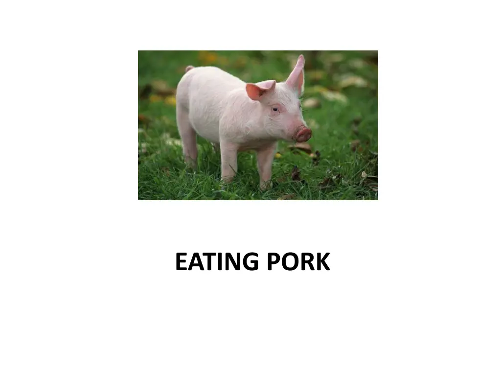 eating pork