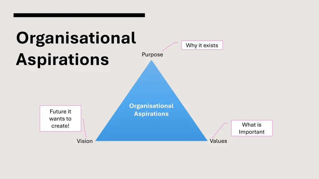 organisational aspirations 1