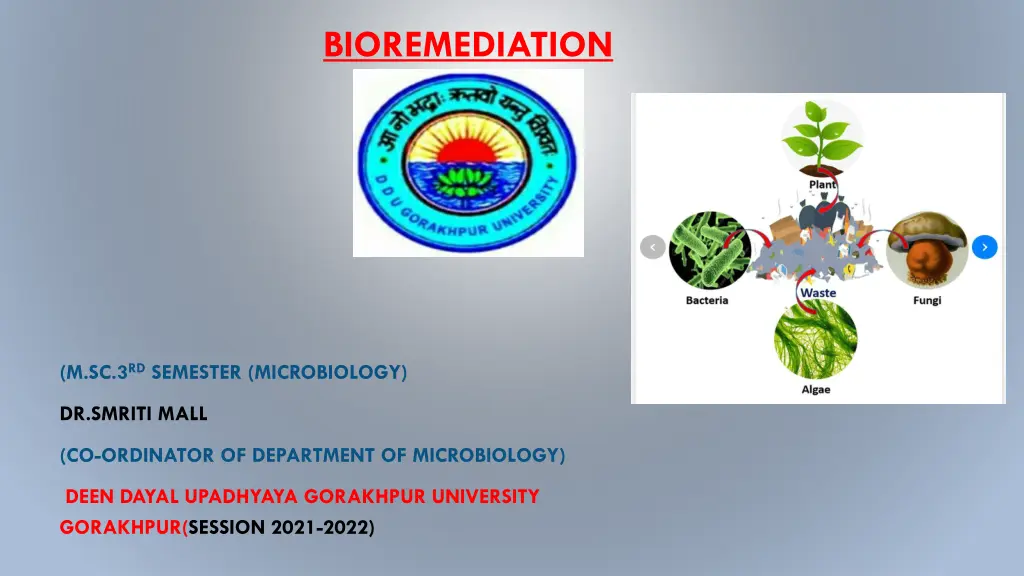 bioremediation