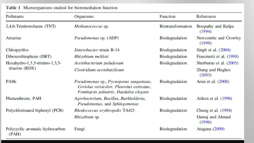 slide8
