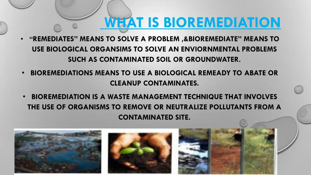what is bioremediation
