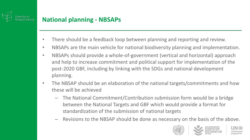 national planning nbsaps
