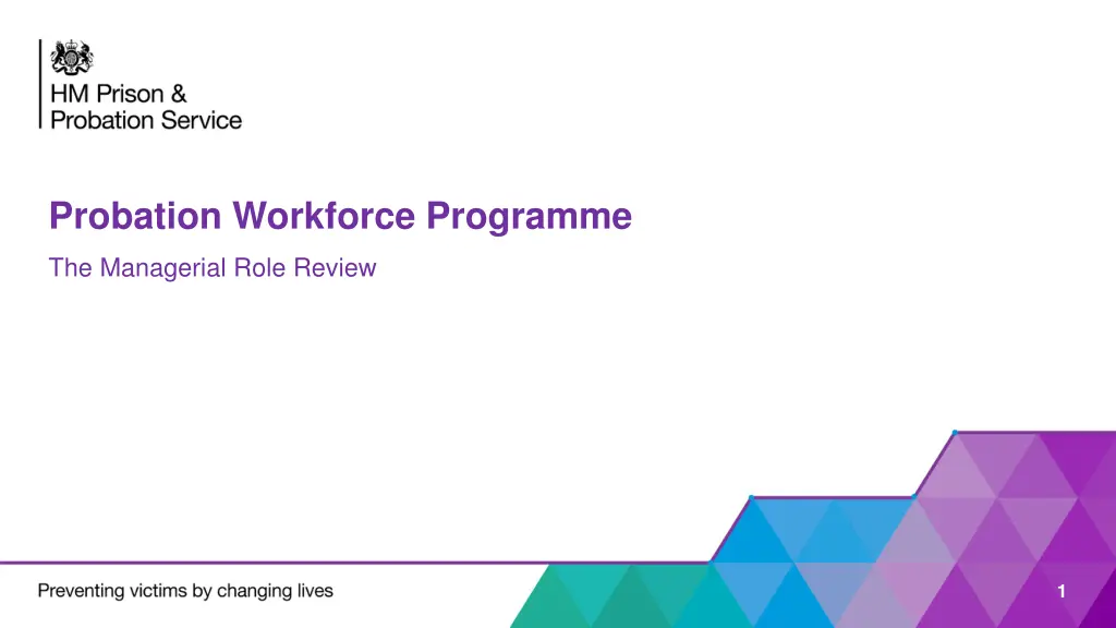 probation workforce programme