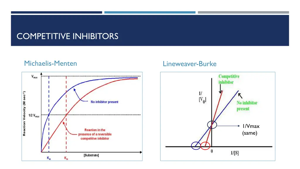 competitive inhibitors 1