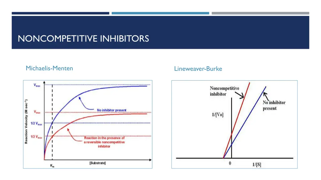 noncompetitive inhibitors 1