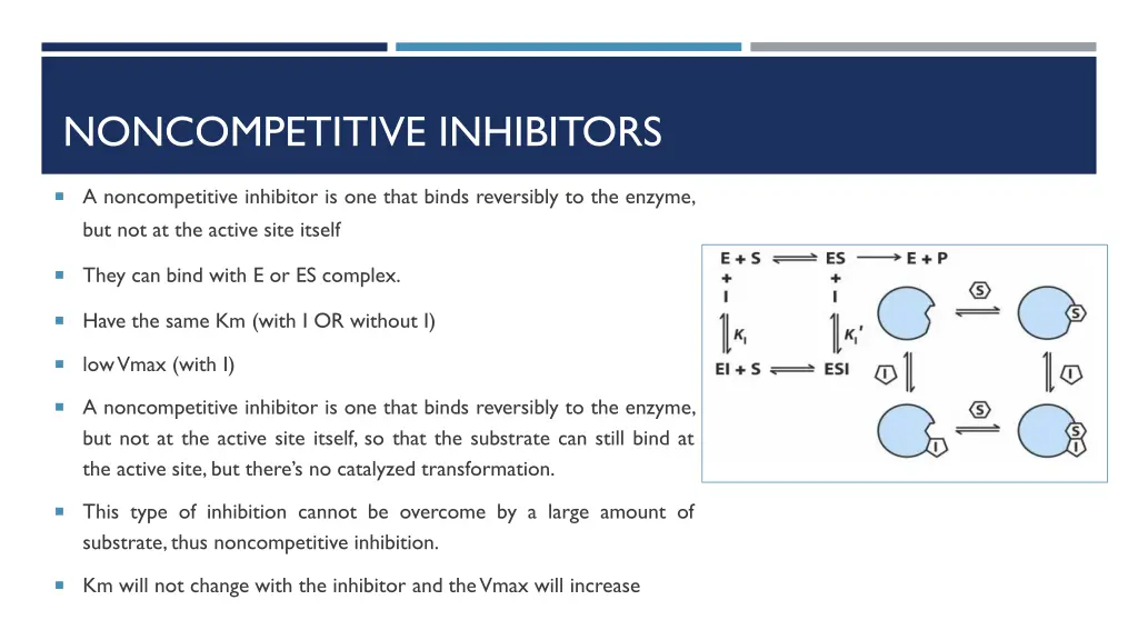 noncompetitive inhibitors