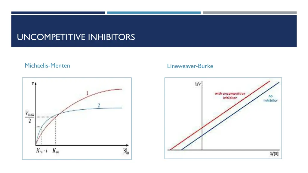 uncompetitive inhibitors 1