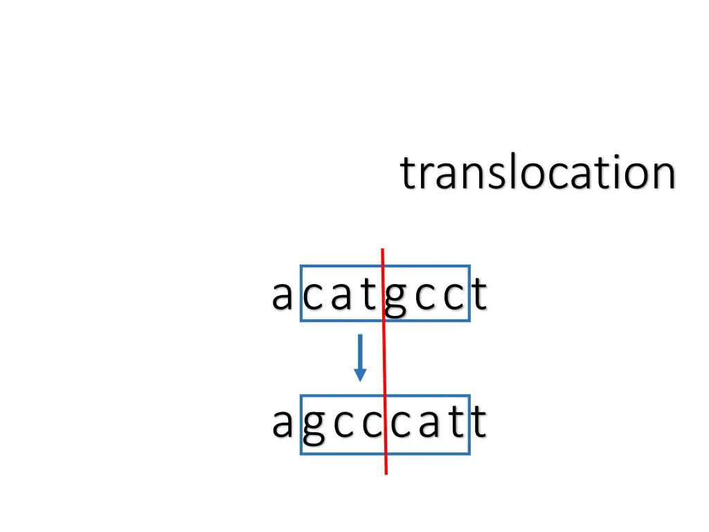 translocation