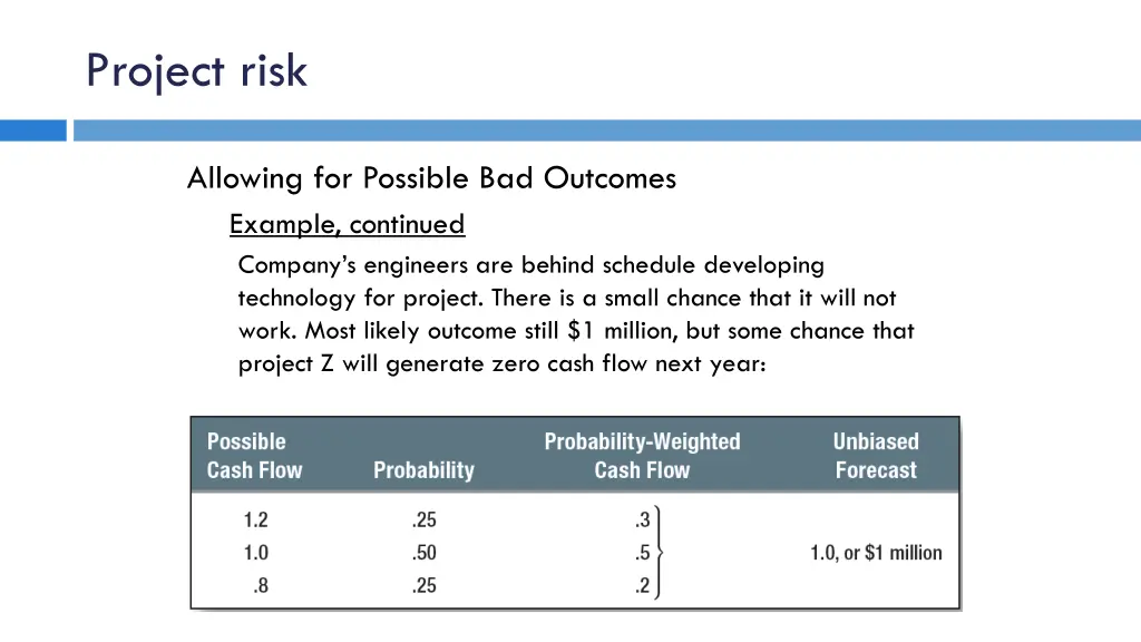 project risk 1