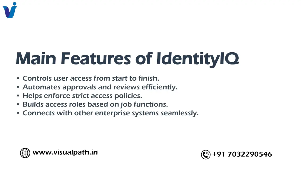 main features of identityiq main features