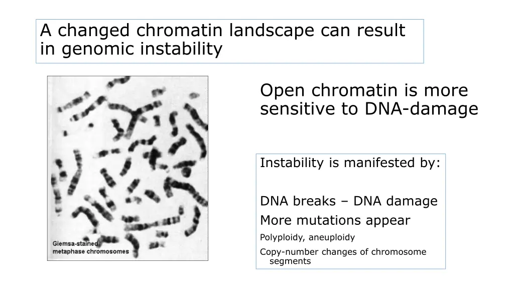 a changed chromatin landscape can result