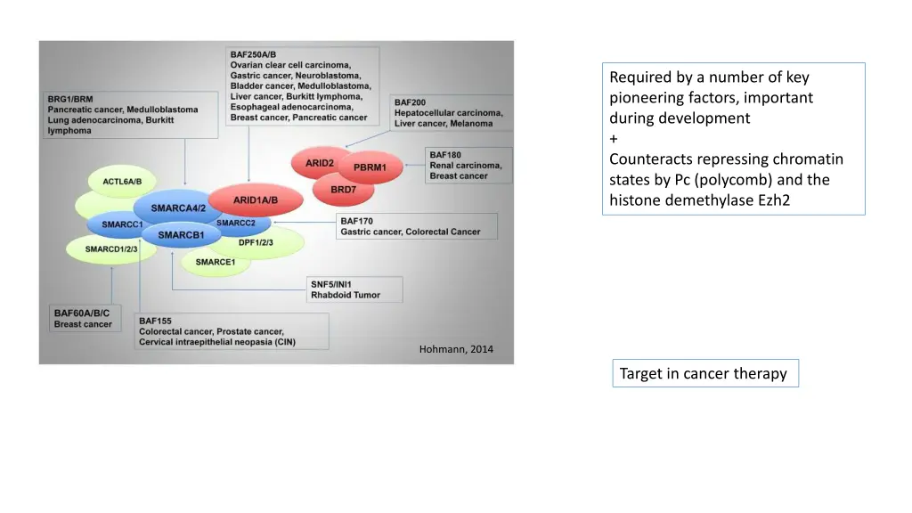 required by a number of key pioneering factors