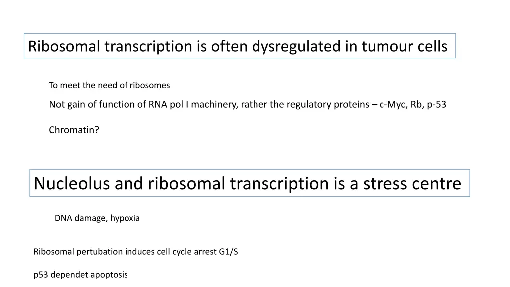 ribosomal transcription is often dysregulated