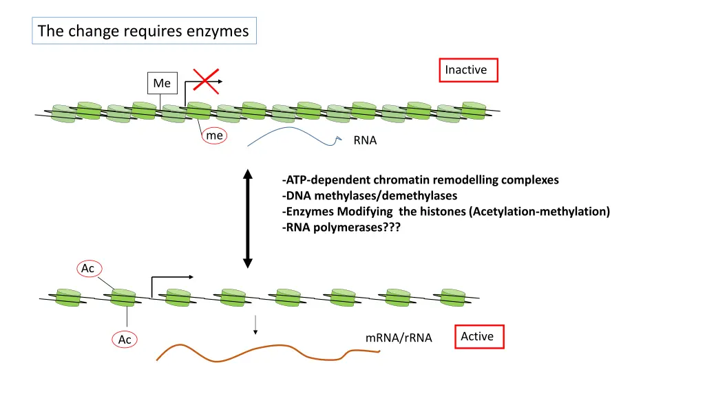 the change requires enzymes