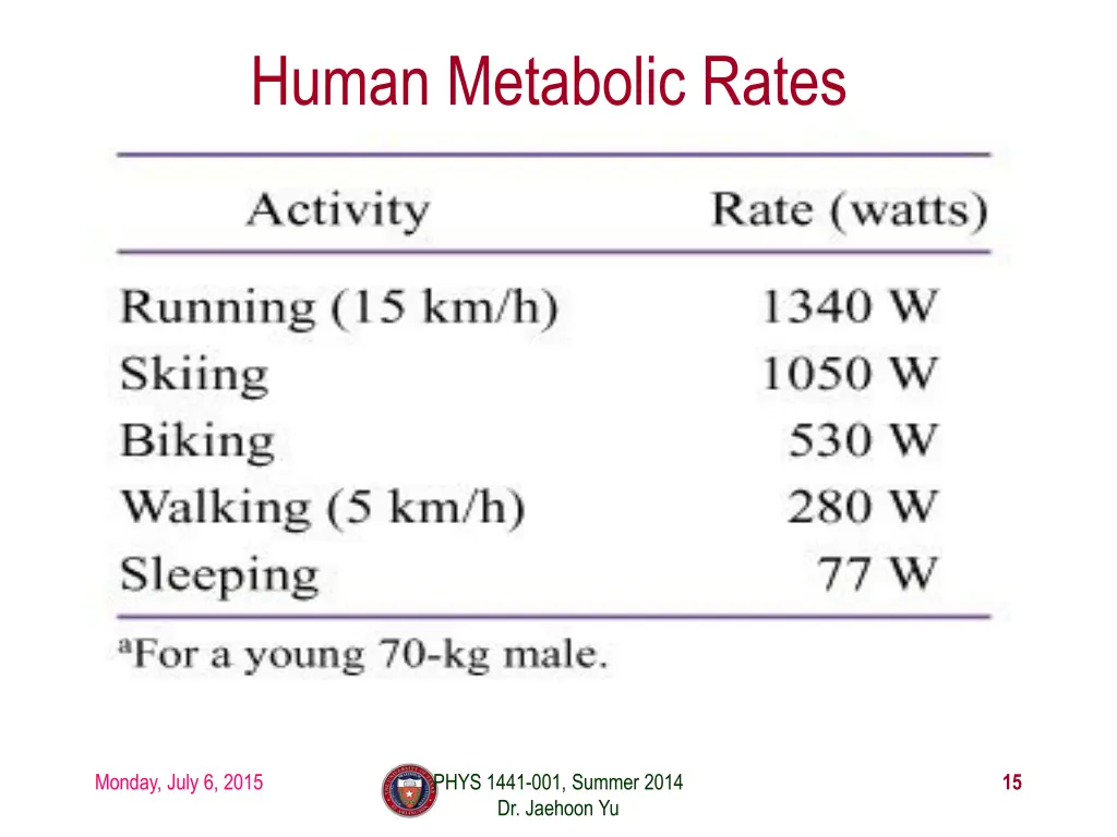 human metabolic rates