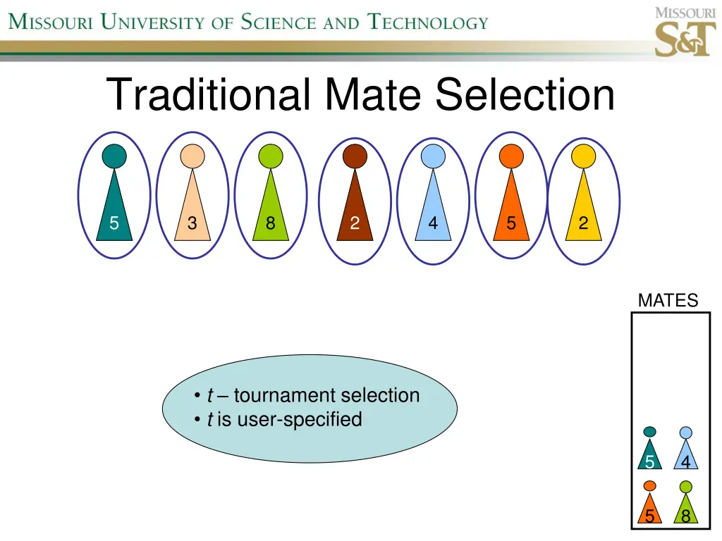 traditional mate selection