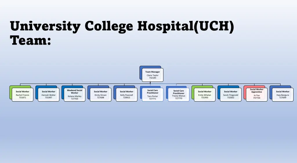 university college hospital uch team