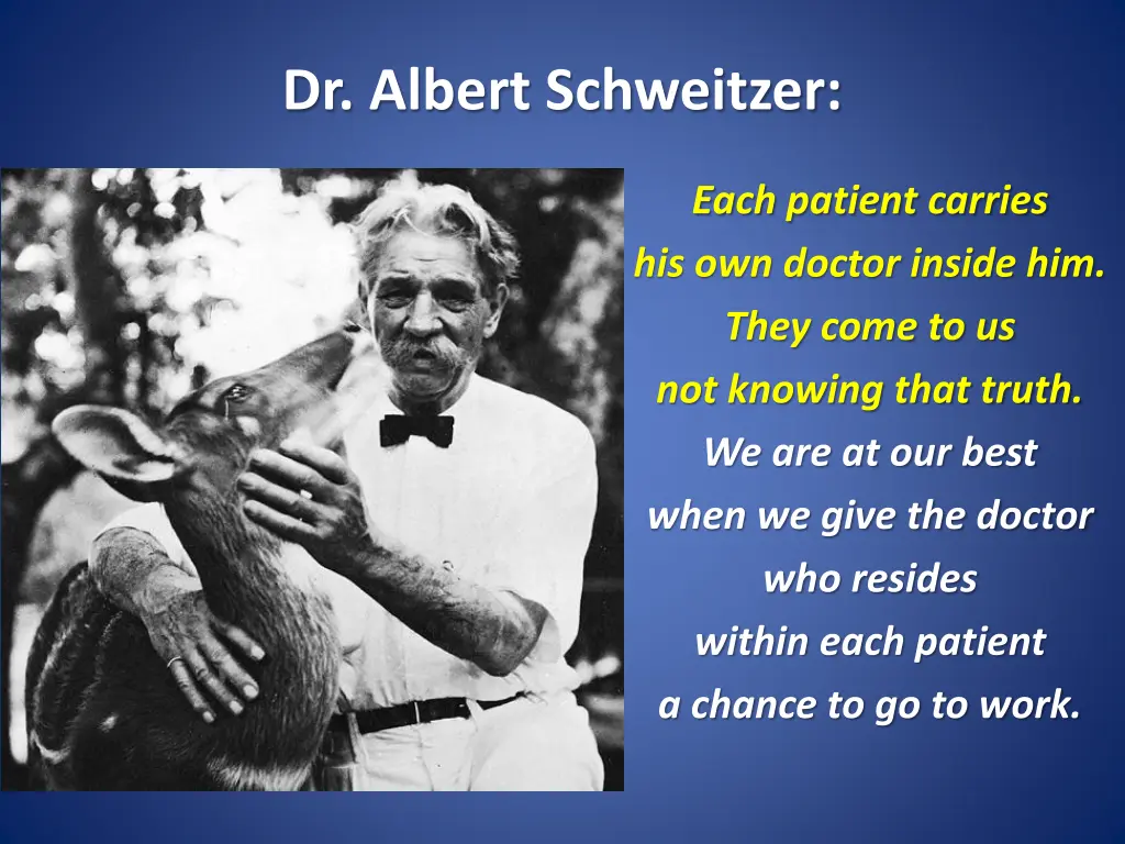 dr albert schweitzer