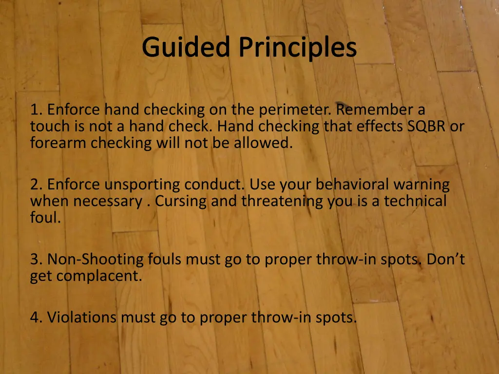 guided principles 1