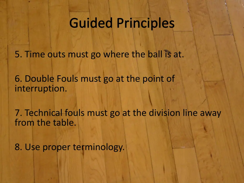 guided principles 2