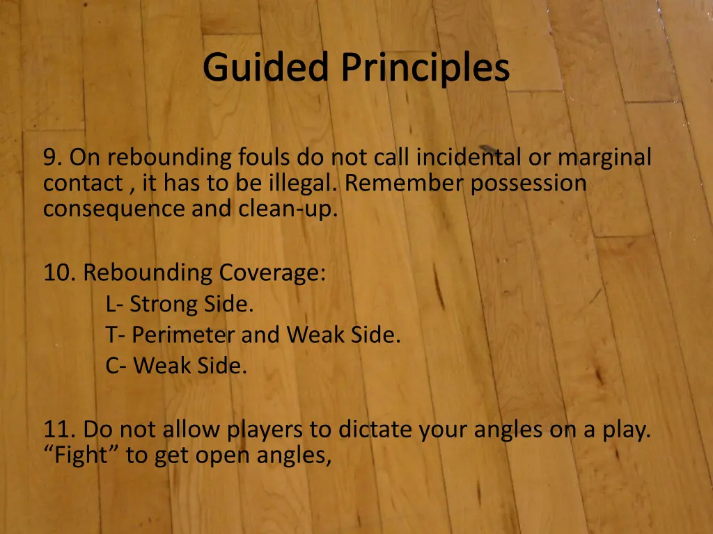 guided principles 3