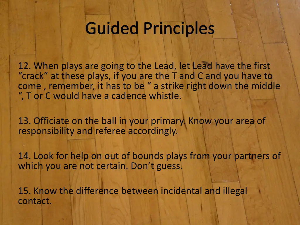 guided principles 4