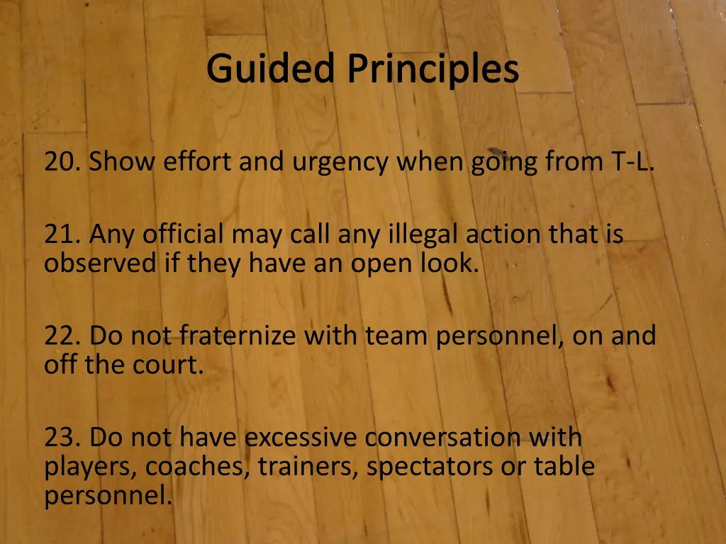 guided principles 6