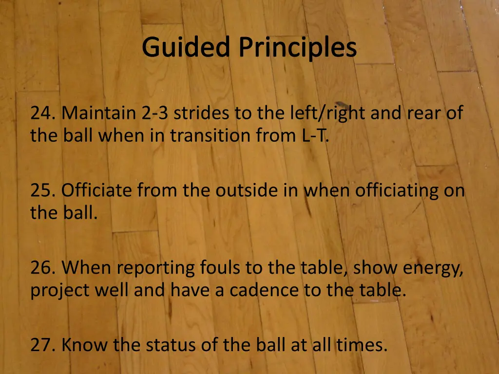 guided principles 7