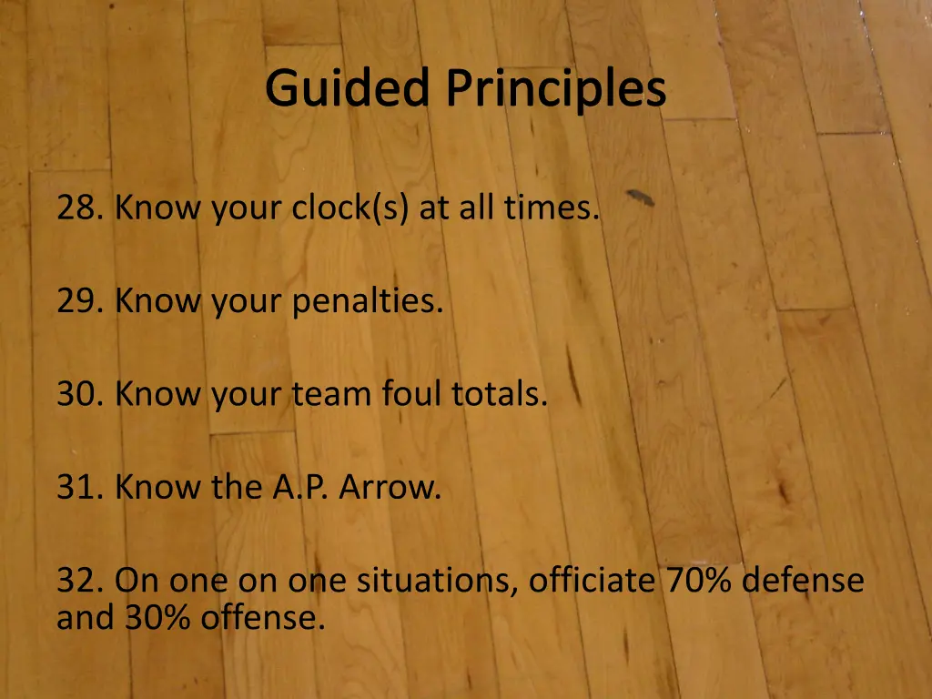 guided principles 8