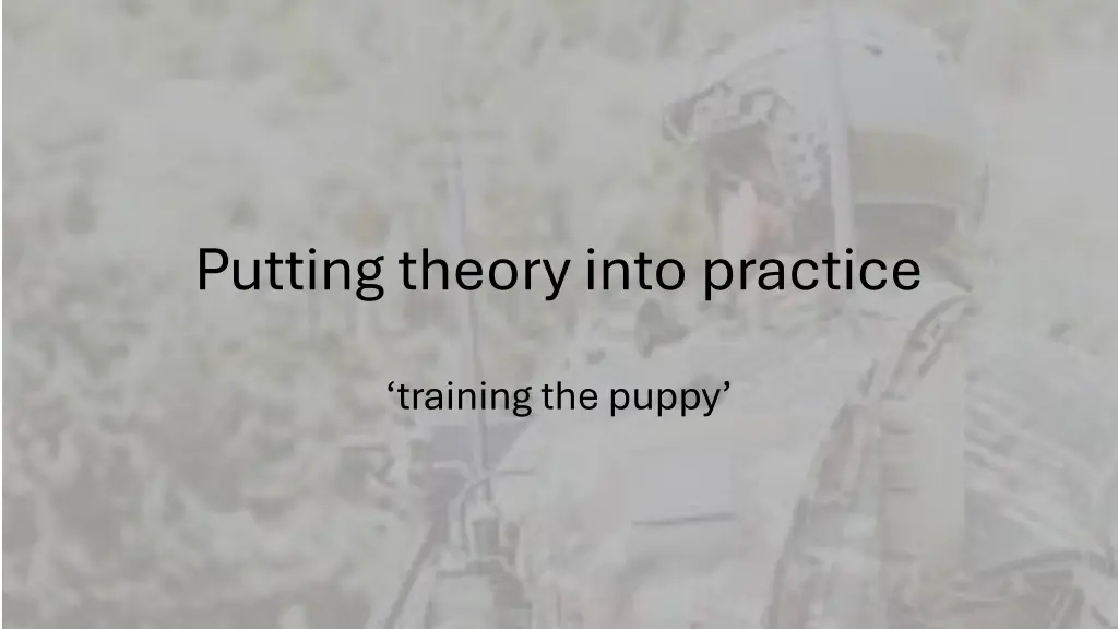 putting theory into practice