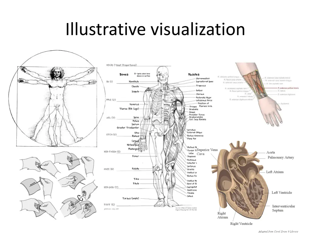 illustrative visualization