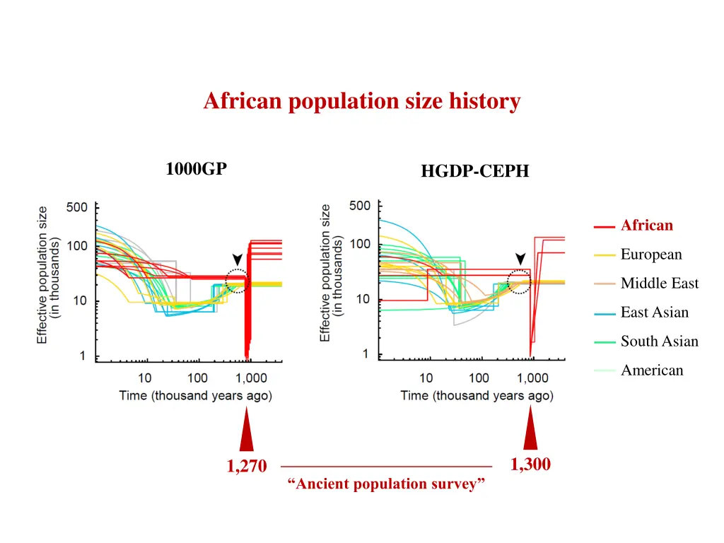 african population size history
