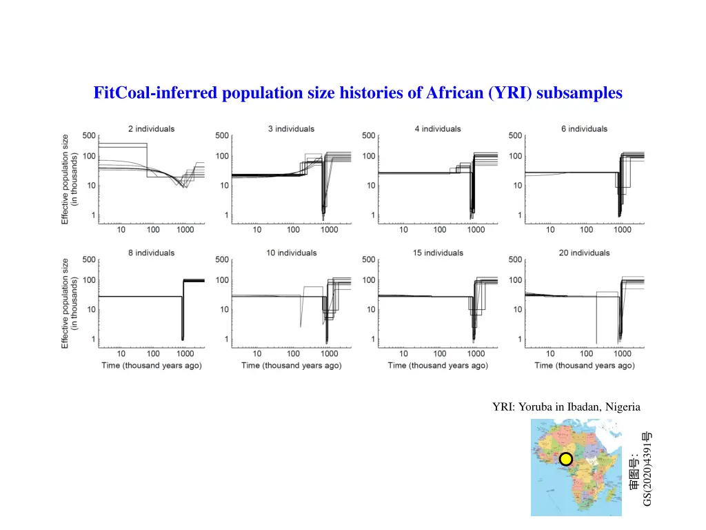 fitcoal inferred population size histories 1