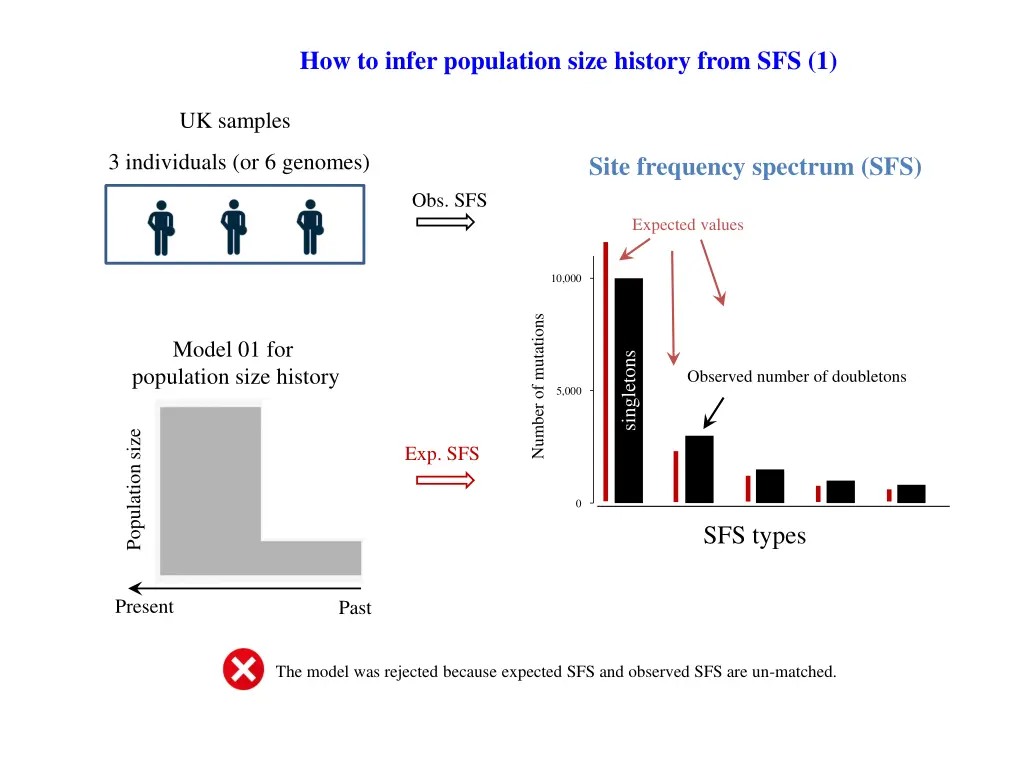 how to infer population size history from sfs 1