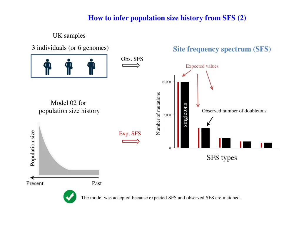 how to infer population size history from sfs 2