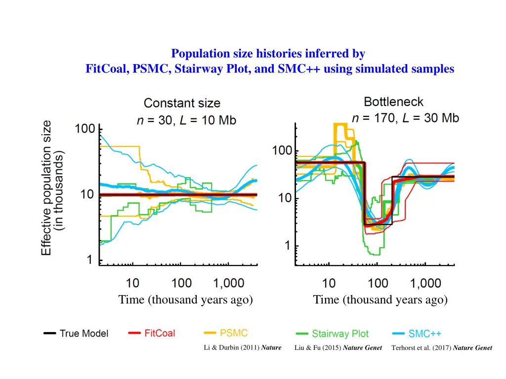 population size histories inferred by fitcoal