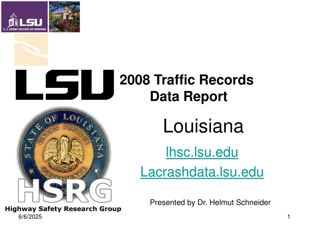 2008 traffic records data report