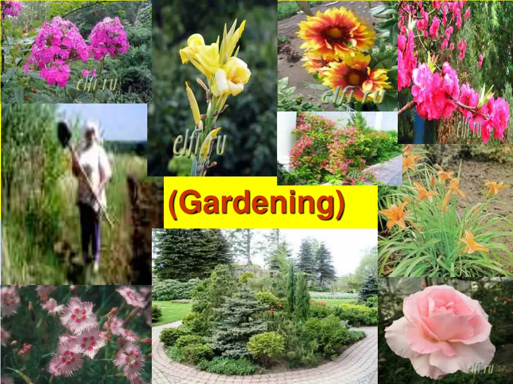 gardening